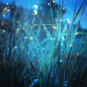 成人黄色软件下载
