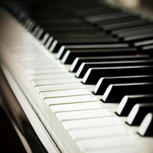 成人黄色软件下载
