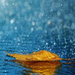 成人黄色软件下载
