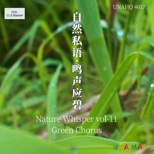 成人黄色软件下载
